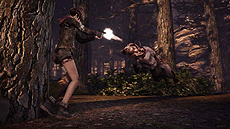 ꡼ No.005 | ֥Хϥ ٥졼2סȥ饨ԥɤƤӡ쥤ɥ⡼ɤˤ륲ȥνи郎