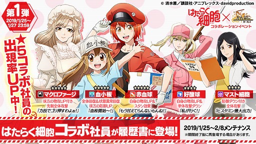 ���������꡼ No.004�Υ���ͥ������ / �֤���Ѥˡ������륺�פ�TV���˥�֤Ϥ��餯��˦�פΥ���ܥ��٥�Ȥ�����