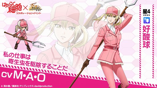 ���������꡼ No.011�Υ���ͥ������ / �֤���Ѥˡ������륺�פ�TV���˥�֤Ϥ��餯��˦�פΥ���ܥ��٥�Ȥ�����