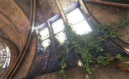 ꡼ No.007 | ꥳ󥹥ȯ뿷󥰥󥸥MizuchiפθȤץ󡣿ȥ쥤顼