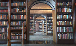 ꡼ No.008 | ꥳ󥹥ȯ뿷󥰥󥸥MizuchiפθȤץ󡣿ȥ쥤顼