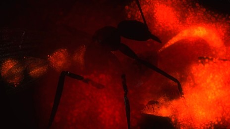 ���������꡼ No.011�Υ���ͥ������ / ���ϵ��ɱҷ�4.1 THE SHADOW OF NEW DESPAIR�ס��������ե�٥�Ρ�Ũ������ʪ�ɤ����̸��������Τ������������ǧ�Ǥ���PV��2�Ƥ�