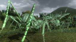 ꡼ No.005 | ϵɱҷ4.1סɲåߥåѥå1Ƥ71ۿ