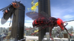 ꡼ No.008 | ϵɱҷ4.1סɲåߥåѥå1Ƥ71ۿ