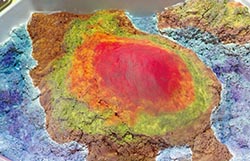 ꡼ No.006 | ѤȺͷӤͻ礷֤Ǥ ʤСפƯͽ