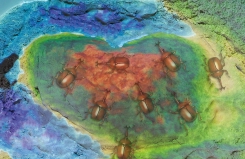 画像集#005のサムネイル/キッズ向け遊具「え〜でる すなば」が稼働開始。室内で楽しく砂遊びができる