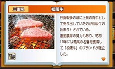 ������#009�Υ���ͥ���/�֤�����Ŵƻ �������ϥ��������������ι���ס������ϥ�������֤ˤ�����ˡ�䡤��ȯ��ž�������뤴���ϥ����ƥ�ξ��󤬸���