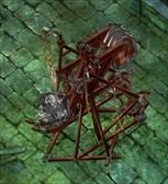 ���������꡼ No.011�Υ���ͥ������ / ��GODGAMES�ס�����˥åȡ֥������������꡼���פ��о졣�緿���åץǡ��Ȥ�»�