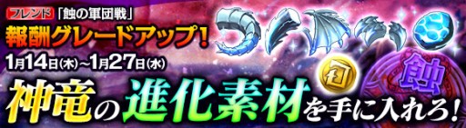 ꡼ No.007Υͥ / ֥  ץסȿηɤ󽷤ָǥ졼ɥå