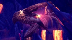 ꡼ No.005Υͥ / ֥ϥ󥿡ҡס󥹥Ҿۻοꥢֲбۻס󥸥ֿռԡפ