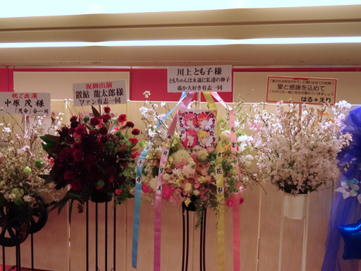 ꡼ No.005Υͥ / ޤǤˤʤܤΡʤ ե󴶼պספݡȡ5ʤϿ줿ܡ뽸CDȯ