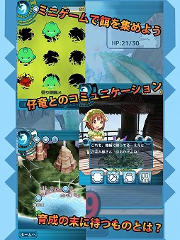 ��ε������