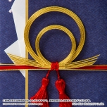 ���������꡼ No.008�Υ���ͥ������ / ���������-ONLINE-�פ��о줹�뻰����ᡤ��ݹ�ʡ�����쿶�������դˤ������˵��ޤ��о졣����13��00��ͽ����ճ���