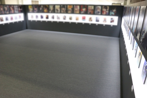 ���������꡼ No.017�Υ���ͥ������ / ���������-ONLINE-�׽�θ���ʣ�祤�٥�ȡ��������-�ܴ���-�פȡ����󥷥㥤�󥷥ƥ����Ʊ�����ŤΥ���ܴ����碌�ƾҲ�