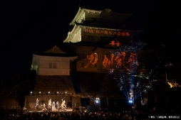 ���������꡼ No.002�Υ���ͥ������ / ������������ ���� �������ξ��ĸ��פθ���̿��ȥ��㥹�ȥ����Ȥ�����