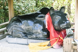 画像ギャラリー No.078のサムネイル画像 / 刀剣に魅入る贅沢なひととき。京博初の大規模刀剣特別展「京のかたな」ほか,「刀剣乱舞」スタンプラリーなどのアツい“刀剣巡り”レポート