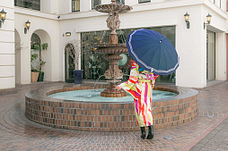 ���������꡼ No.009�Υ���ͥ������ / ���������-ONLINE-�פ�ꡤ��������塤�����ڡ����㺸ʸ����������Ӥ򥤥᡼����������ܻ�����������