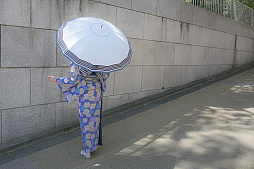 ���������꡼ No.015�Υ���ͥ������ / ���������-ONLINE-�פ�ꡤ��������塤�����ڡ����㺸ʸ����������Ӥ򥤥᡼����������ܻ�����������