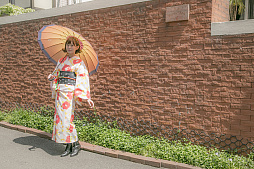 ���������꡼ No.020�Υ���ͥ������ / ���������-ONLINE-�פ�ꡤ��������塤�����ڡ����㺸ʸ����������Ӥ򥤥᡼����������ܻ�����������