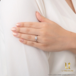 ���������꡼ No.004�Υ���ͥ������ / ���������פβý������������ڹ񹭡����������������դˤ������ؤ�ͥå��쥹��ȯ����ꡣ3��20������ͽ�󳫻�