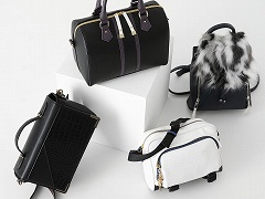 ���������-ONLINE-�ס��˻Ѥ�����˻Τ򥤥᡼����������ܥХå���13�Ƥ��о�