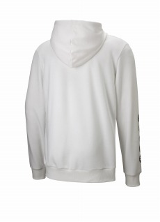 ���������꡼ No.006�Υ���ͥ������ / ���������-ONLINE-�ס�PUMA����ܥ����ƥ�8�郎ȯ����ꡣ�ס��ޥ��ȥ����ɥ���åȥ��ȥ꡼��Ź�ۤ���12��17�����缡����