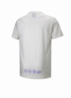 ���������꡼ No.020�Υ���ͥ������ / ���������-ONLINE-�ס�PUMA����ܥ����ƥ�8�郎ȯ����ꡣ�ס��ޥ��ȥ����ɥ���åȥ��ȥ꡼��Ź�ۤ���12��17�����缡����