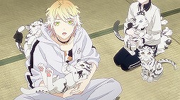 ���������꡼ No.008�Υ���ͥ������ / ���˥���á��������-�ִ�-�١���δ����ס����̼̿������