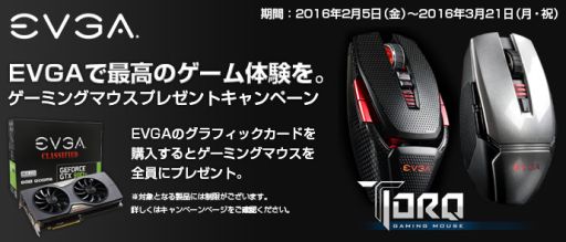 ꡼ No.001 | EVGAեåɹEVGAΥޡޥ館륭ڡϤޤ