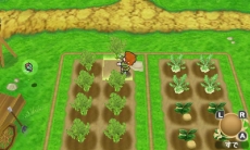 ���������꡼ No.003�Υ���ͥ������ / �֥ݥݥ����������Ҿ�ʪ��פθ��������Ȥǡ��͡��δꤤ���褹�륯�����Ȥ������Ͽޤ�������뤹��㤤�̿���������򤷤Ƥ������λ�3�ͤξ��󤬸�����