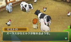 ꡼ No.009 | ֥ݥݥҾʪڤŤưʪäʤɡΩҾ饤դκǿ󤬸