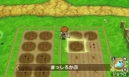 画像ギャラリー No.028のサムネイル画像 / 話題の新作RPG「ポポロクロイス牧場物語」プレイレポート。懐かしくも新しい,ピエトロ王子・13歳の大冒険を見届けよう