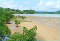 ������#005�Υ���ͥ���/�ޥ󥰥����֤��Ƥ륲����֥ޥ󥰥����֤��Ի׵Ĥʥ��ޤ����פ��ۿ�����