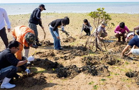 ꡼ No.004 | ֥ޥ󥰥֤Ի׵ĤʥޤסºݤοӤˤĤʤ»