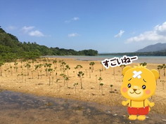 ꡼ No.005 | ֥ޥ󥰥֤Ի׵ĤʥޤסºݤοӤˤĤʤ»