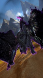 ꡼ No.006 | ֥󥹥ϥ󥿡 ԥåġסޥ鶸εξ󤬸