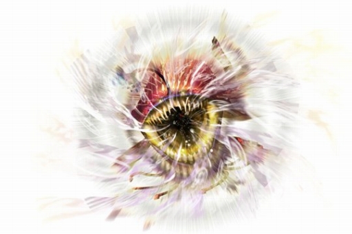 ꡼ No.008 | ֥ϥ ԥåġס꡼ּ01 Ǯűפ缡Ư