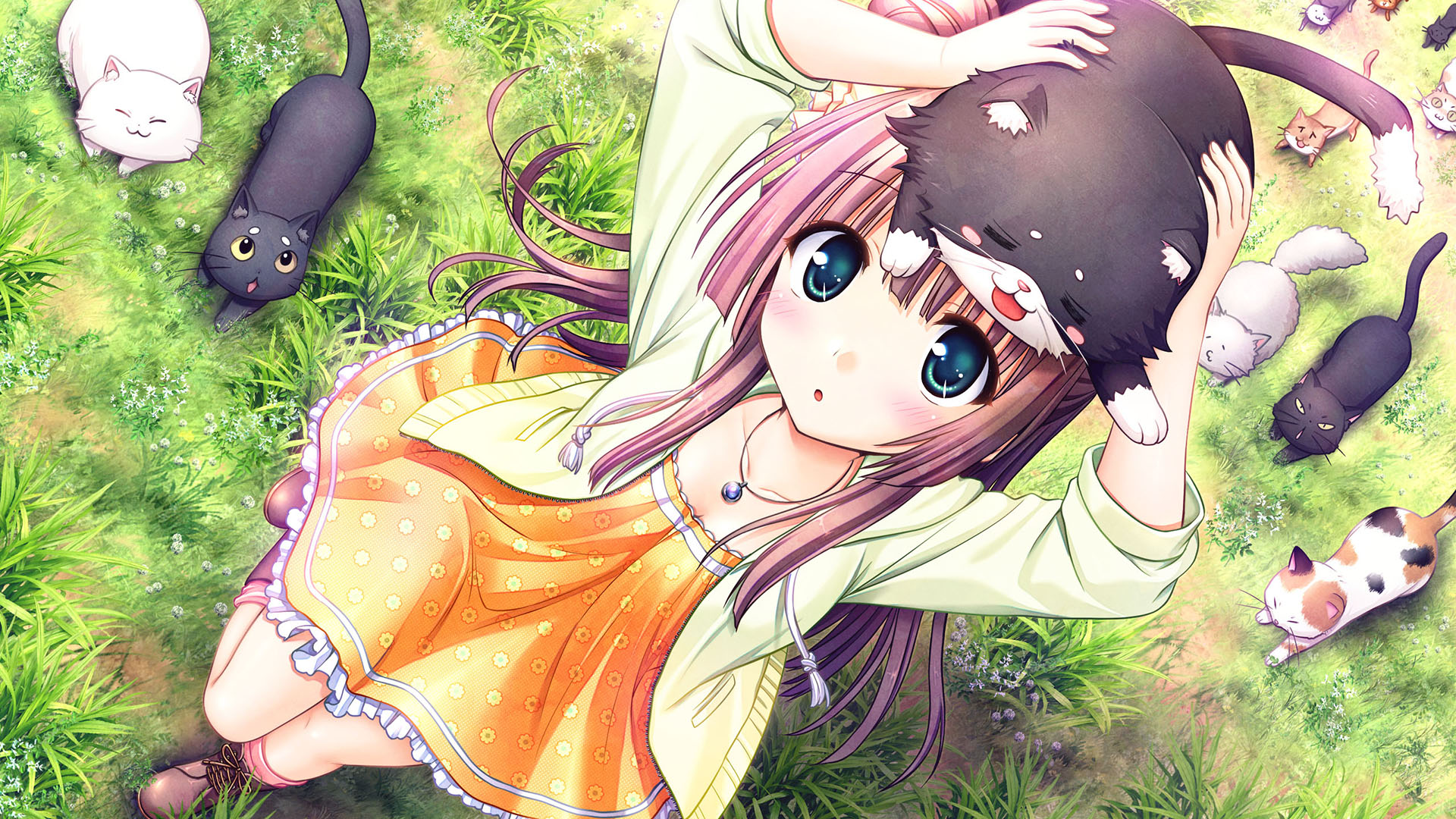 画像集 004 Ps Vita用ソフト 大図書館の羊飼い Library Party が15