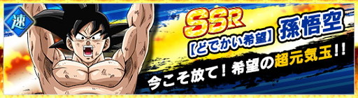 ꡼ No.006Υͥ / ֥ɥ饴ܡZ ɥåХȥס1ǯǰڡ󤬳