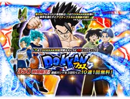 ꡼ No.002Υͥ / ֥ɥ饴ܡZ ɥåХȥסW DOKKANեɤ˥ƥå¹ӡԥå(ǽϲ)о