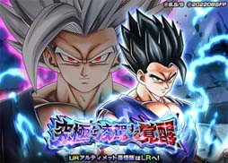 ꡼ No.004Υͥ / ֥ɥ饴ܡZ ɥåХȥסW DOKKANեɤ˥ƥå¹ӡԥå(ǽϲ)о