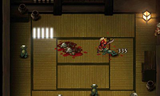 ������#005�Υ���ͥ���/3DS�Ѹ���������2D���������ְۻ�������ɶȡפ�2014ǯ��ȯ�䡣�Ų��Ȳ���������������ã��Ƥ��