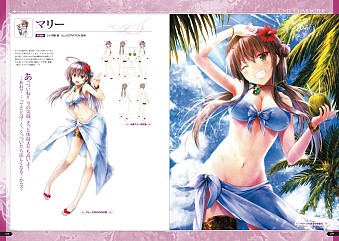 画像ギャラリー No.002のサムネイル画像 / 「オルタンシア・サーガ」の“公式ビジュアルファンブック２”が発売