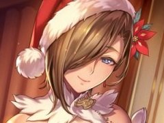 �֥��륿�󥷥����������ס����ꥹ�ޥ������Ρ֥����ǥ�ϥ��ɡפ��о�