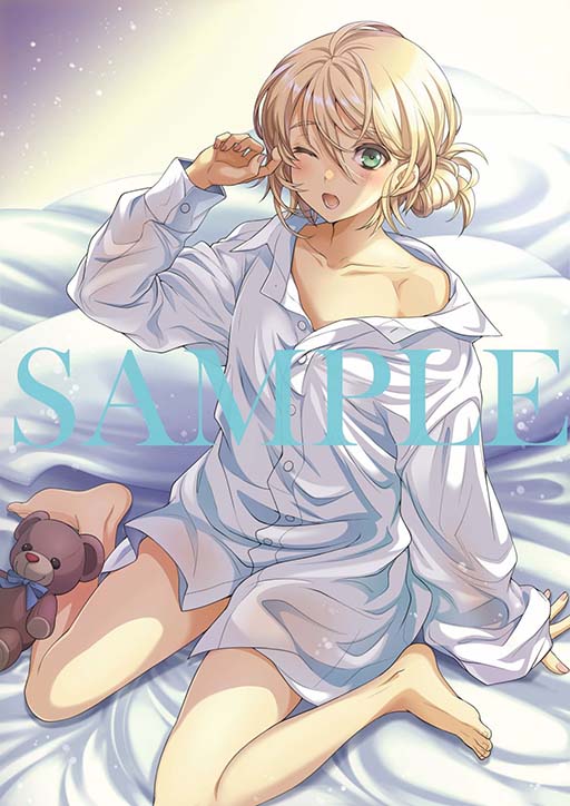 ꡼ No.001 | TV˥֥륿󥷥פBlu-ray/DVDȯꡣ崬317꡼