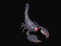 ������#011�Υ���ͥ���/�ֳ�����襪��饤��פν��פ��о줹�륹�ơ����ȥ�󥹥�����������