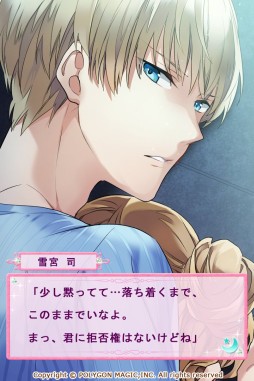 ������#003�Υ���ͥ���/��ϵ���쥷�����Υ�����������ۿ����ϡ���ϵ�����ν���������������