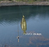 ������#001�Υ���ͥ���/̵���ǳڤ����Web�ե��å��󥰡�����פΦ��Ǥ�������