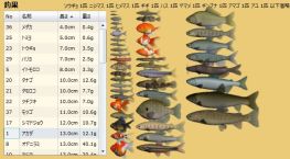 ������#005�Υ���ͥ���/̵���ǳڤ����Web�ե��å��󥰡�����פΦ��Ǥ�������