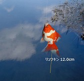 ������#010�Υ���ͥ���/̵���ǳڤ����Web�ե��å��󥰡�����פΦ��Ǥ�������